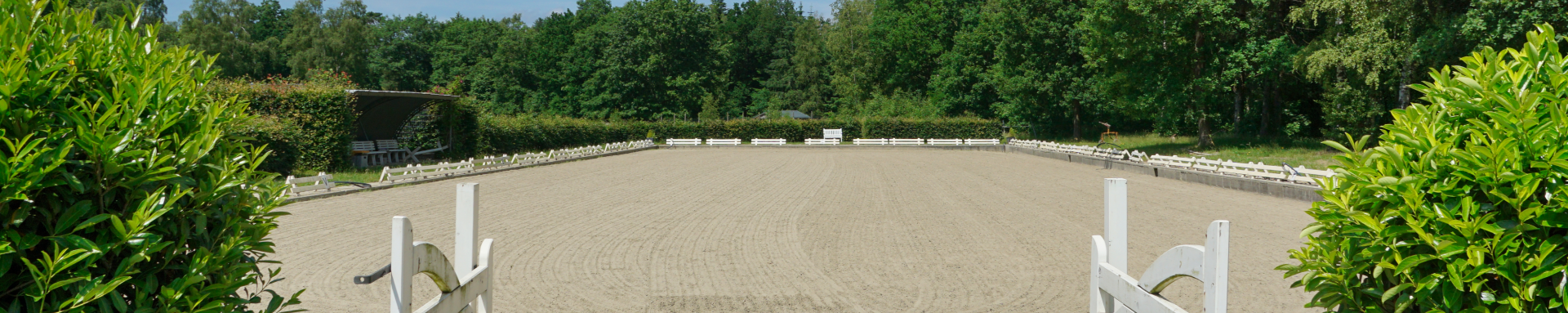 Reitanlage-Möhrkenhof-Aussenanlage.png
